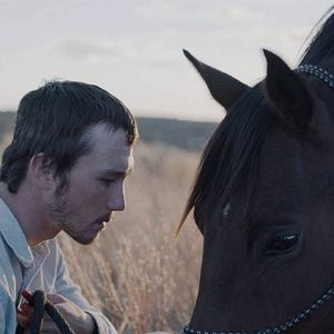 Foto Domando o Destino