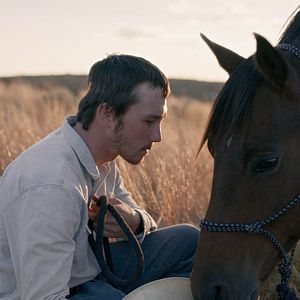 Foto Domando o Destino