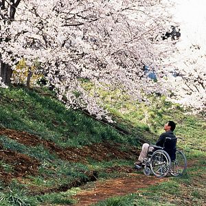 Foto Hana-bi - Fogos de Artifício