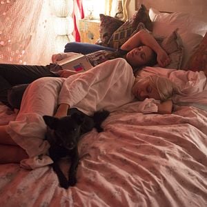 Foto Axolotl Overkill