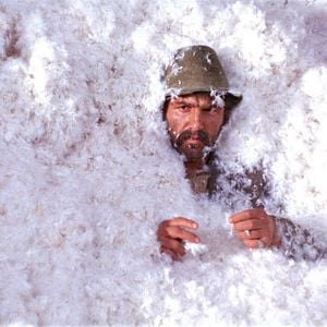 Foto I Even Met Happy Gypsies