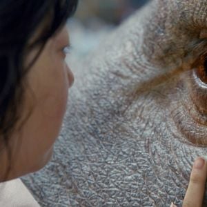 Foto Okja