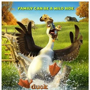 Foto Pato Pato Ganso