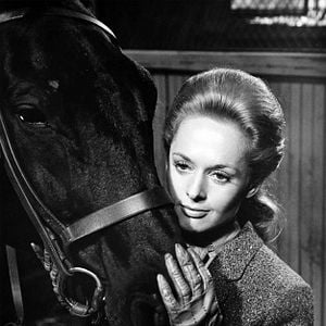 Foto Marnie, Confissões de uma Ladra