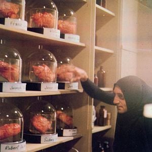 Foto O Jovem Frankenstein