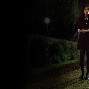 Foto Feed: O Gosto do Amor