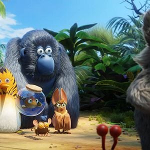 Foto Uma Floresta Muito Louca