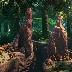 Foto Uma Floresta Muito Louca