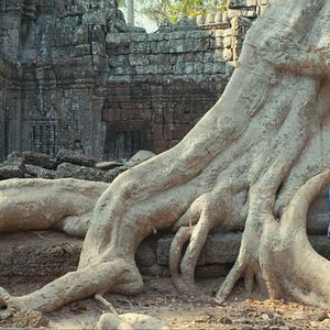 Foto Agathe Bonitzer