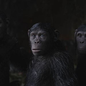 Foto Planeta dos Macacos: A Guerra