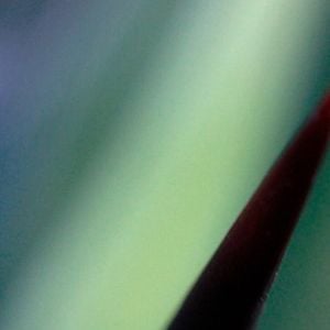 Foto La Tierra Aún se Mueve