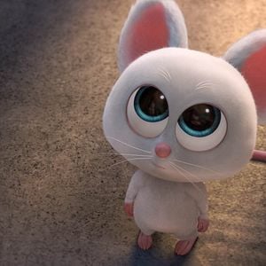 Foto O Que Será de Nozes 2