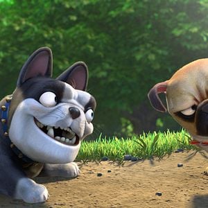 Foto O Que Será de Nozes 2