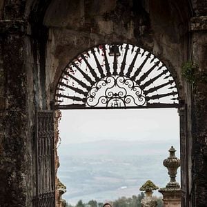 Foto Voice From the Stone