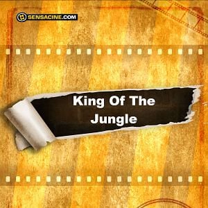 Foto King Of The Jungle