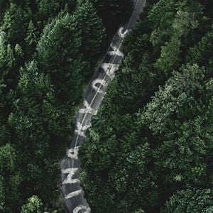 Foto O Desaparecimento de Cara Cook