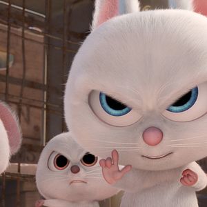 Foto O Que Será de Nozes 2