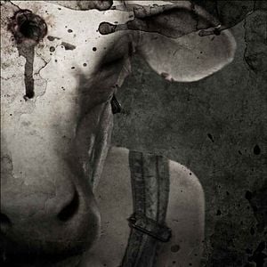 Foto Massacre no Texas