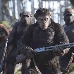 Foto Planeta dos Macacos: A Guerra