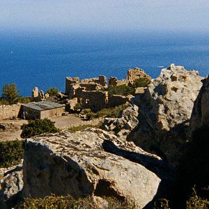 Foto Cadáveres Bronzeados