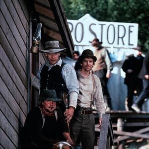 Foto Caninos Brancos