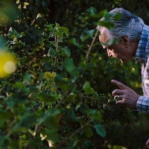 Foto A Busca do Chef Ducasse