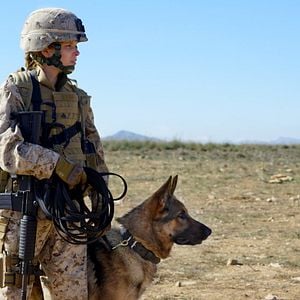 Foto Megan Leavey