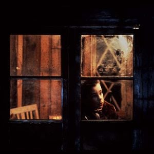 Foto Mitt liv som hund