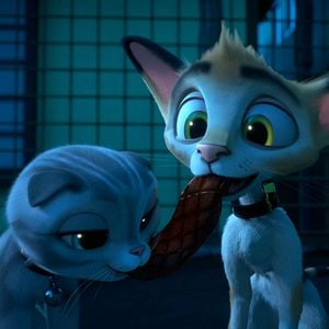 Foto Rudolph, o Gatinho Preto