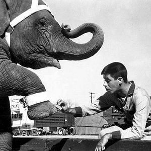 Foto Faixa Vermelha 7000