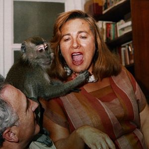 Foto Muitos Filhos, um Macaco e um Castelo