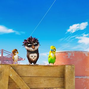 Foto Missão Cegonha