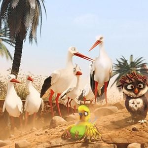 Foto Missão Cegonha