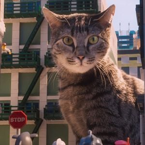 Foto LEGO Ninjago: O Filme