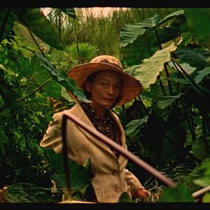 Foto Os Garotos Selvagens