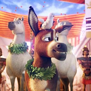 Foto A Estrela de Belém