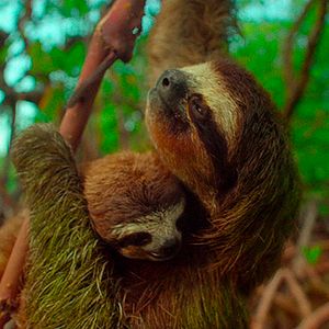 Foto Earth: One Amazing Day