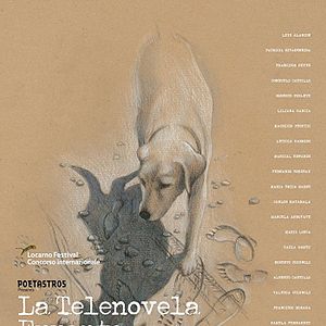 Foto A Telenovela Errante