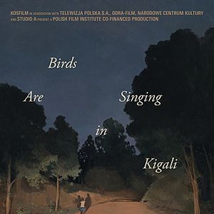 Foto Pássaros Estão Cantando em Kigali