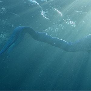 Foto Sereias: Elas Existem!