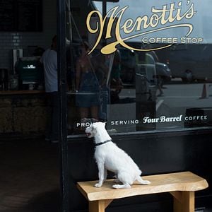 Foto Loucos e Perigosos