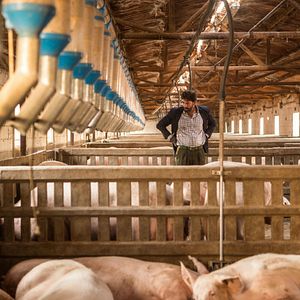 Foto Antonio Garrido