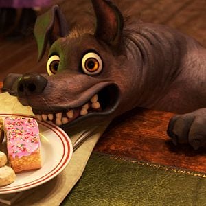 Foto Viva - A Vida é uma Festa