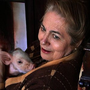 Foto Muitos Filhos, um Macaco e um Castelo