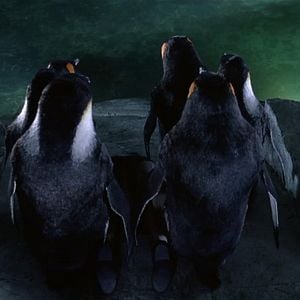 Foto Batman - O Retorno