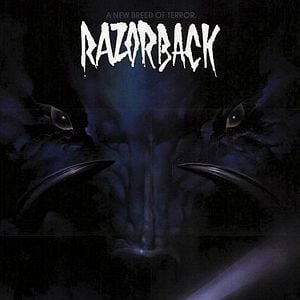 Foto Enigma na Estrada