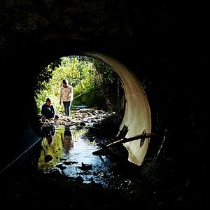 Foto O Sabor da Flor de Arroz