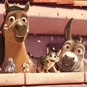 Foto A Estrela de Belém