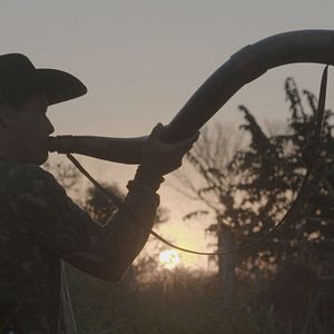 Foto Pantanal, a Boa Inocência de Nossas Origens