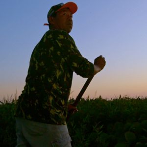 Foto Pantanal, a Boa Inocência de Nossas Origens